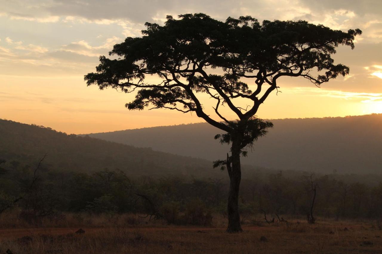 Inzalo Safari Lodge Welgevonden Vadrezervátum Kültér fotó